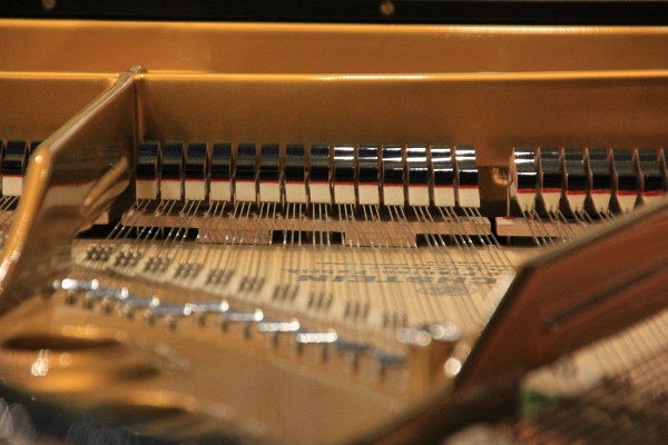 Musique2011   147.jpg